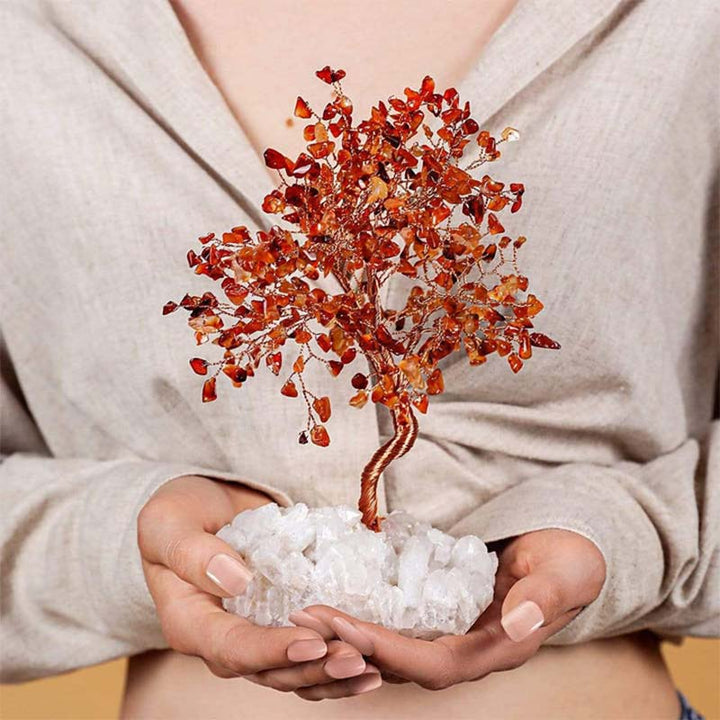 Olivenorma Io Sono Creativo - Albero Feng Shui Corniola 