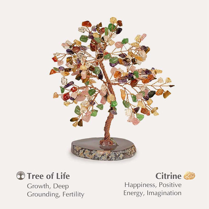 Olivenorma Tonificante Albero Feng Shui Multi-Pietra 