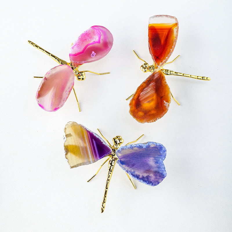 Olivenorma fette di agata naturale decorazione con pietra preziosa libellula