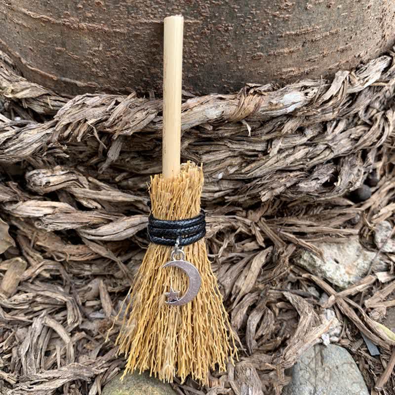 Ornamento fatto a mano Olivenorma Mini tartaruga di cristallo scopa 