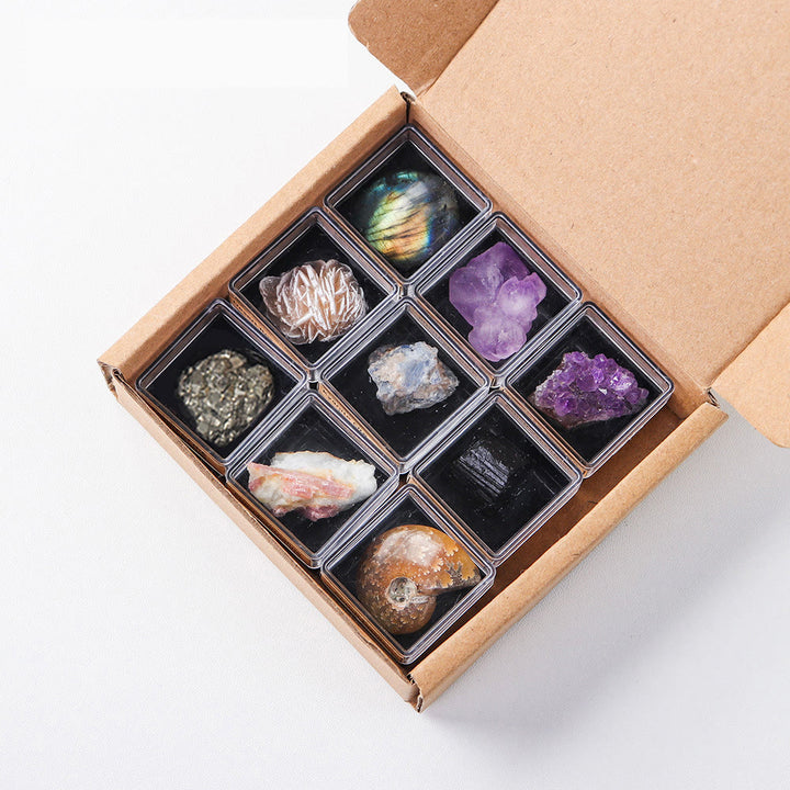 Olivenorma 9 pezzi Set di cristalli naturali Confezione regalo