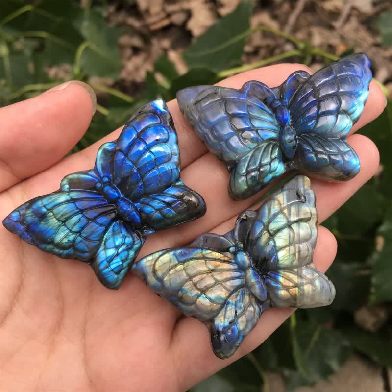 Decorazione con pietra preziosa di labradorite a farfalla magica