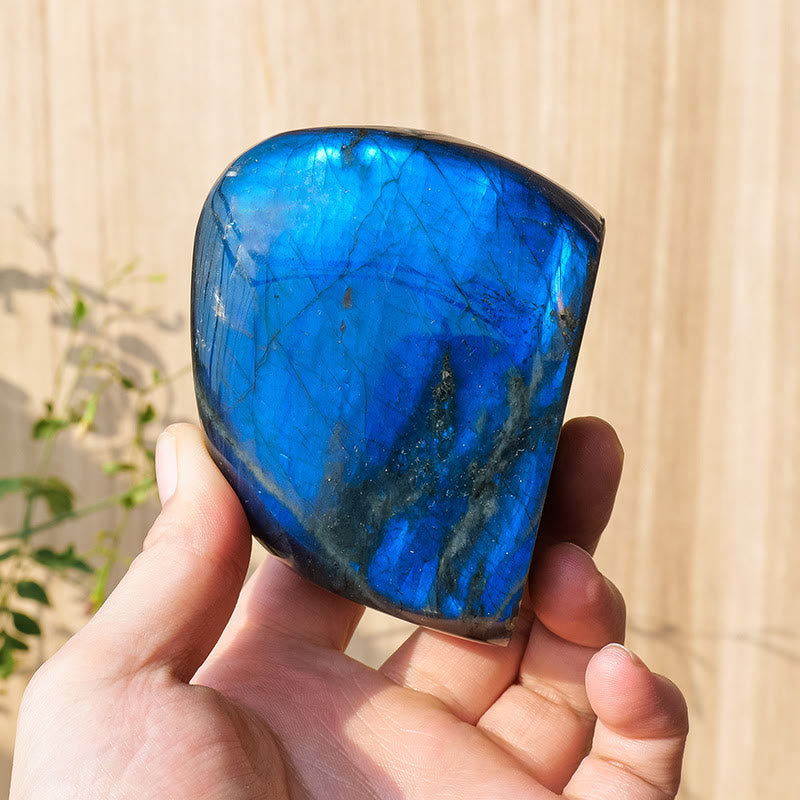 Decorazione in pietra preziosa grezza naturale di labradorite Olivenorma