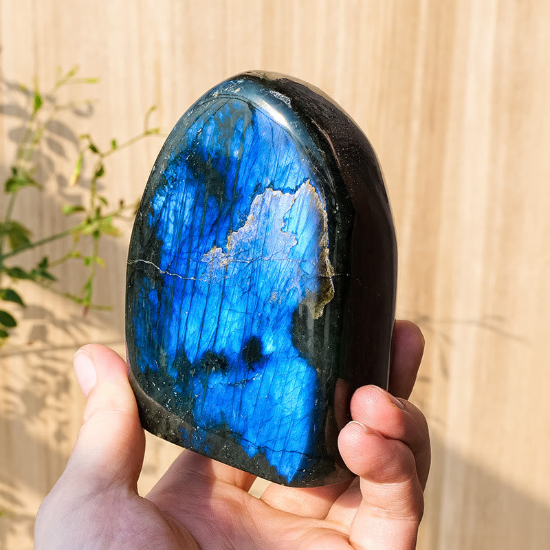 Decorazione in pietra preziosa grezza naturale di labradorite Olivenorma