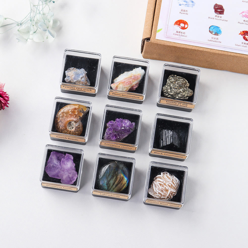Olivenorma 9 pezzi Set di cristalli naturali Confezione regalo
