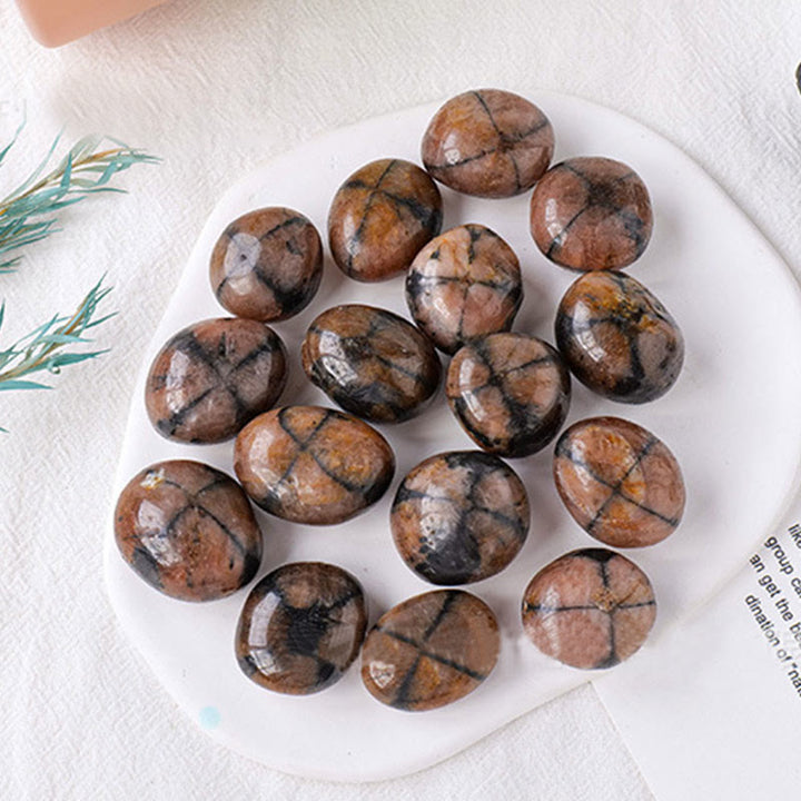 Olivenorma Croce Agata Pietra Naturale Lucida Rolling