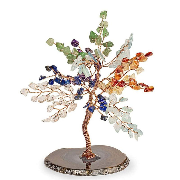 Olivenorma Forza e Crescita Chakra Feng Shui Albero