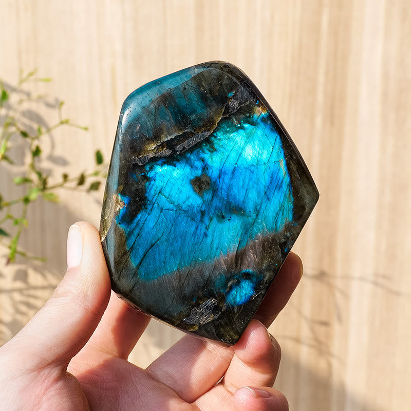 Decorazione in pietra preziosa grezza naturale di labradorite Olivenorma