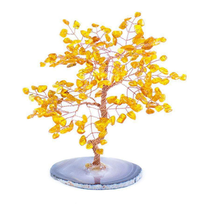 Protezione Olivenorma Ambra Albero Feng Shui