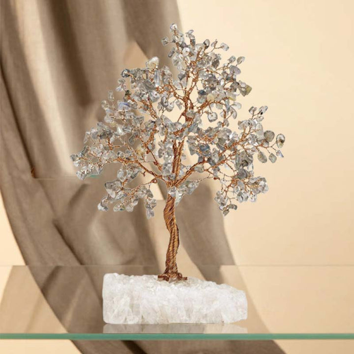 Olivenorma Potenziale illimitato - Albero Feng Shui in pietra labradorite 