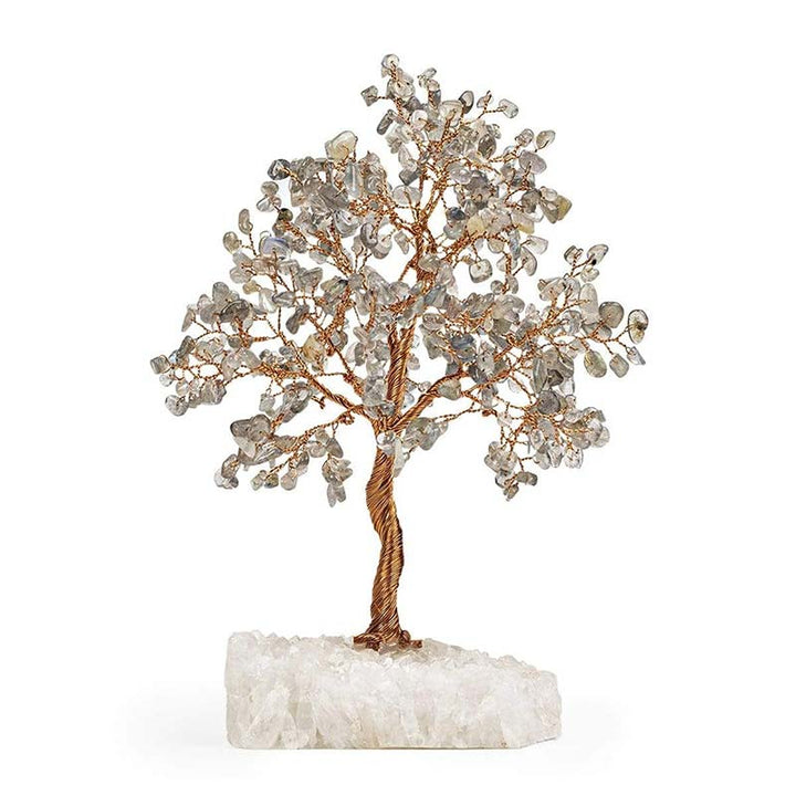 Olivenorma Potenziale illimitato - Albero Feng Shui in pietra labradorite 