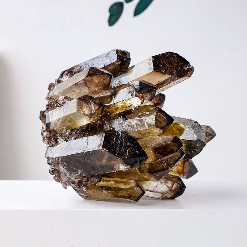 Decorazione con pietra preziosa a grappolo di quarzo fumé naturale Olivenorma