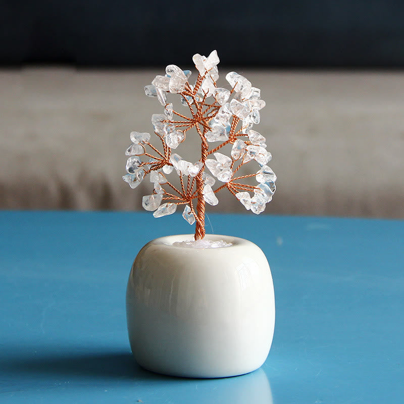 Olivenorma Multi Cristallo Gemma Albero Feng Shui