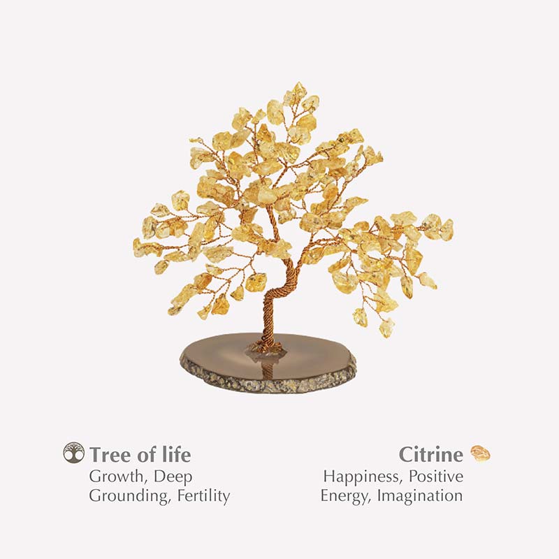 Olivenorma Evocatore della Felicità Citrino Albero Feng Shui 