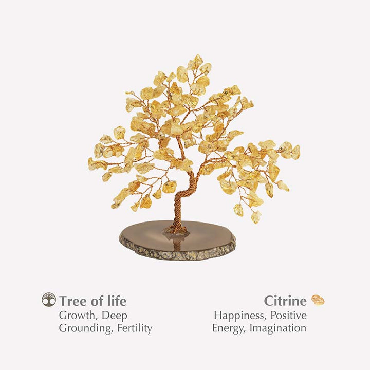 Olivenorma Evocatore della Felicità Citrino Albero Feng Shui 