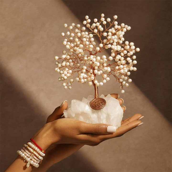 Olivenorma Pure Break - Albero Feng Shui Pietra Perla