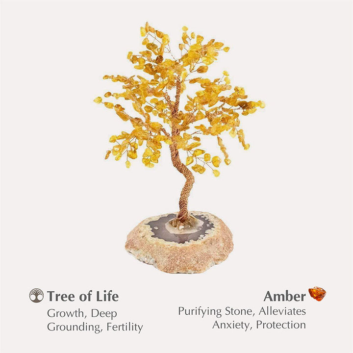 Protezione Olivenorma Ambra Albero Feng Shui