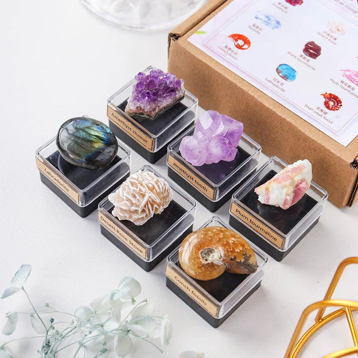Olivenorma 9 pezzi Set di cristalli naturali Confezione regalo