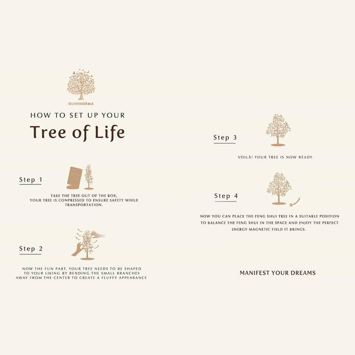 Olivenorma Io Sono Creativo - Albero Feng Shui Corniola 