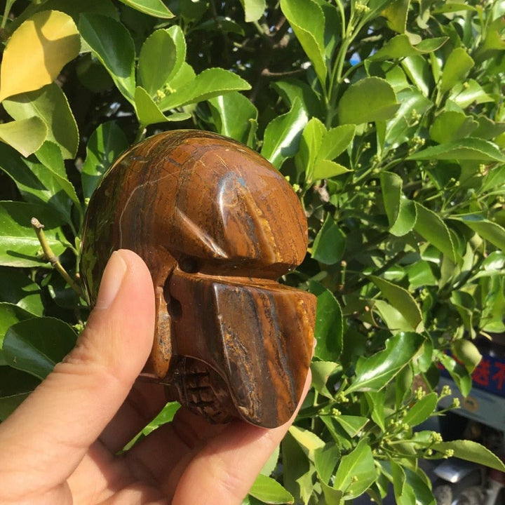 Decorazione con teschio di cristallo in pietra occhio di tigre Olivenorma 