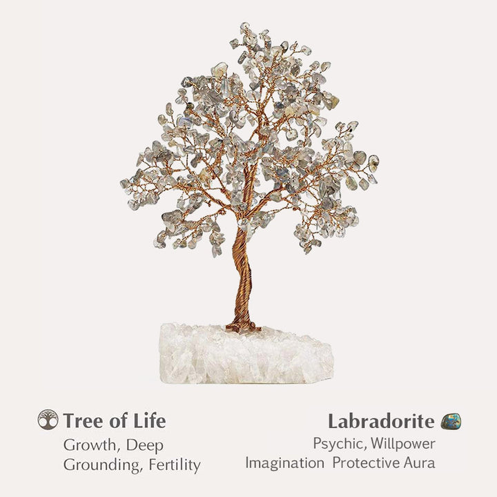 Olivenorma Potenziale illimitato - Albero Feng Shui in pietra labradorite 