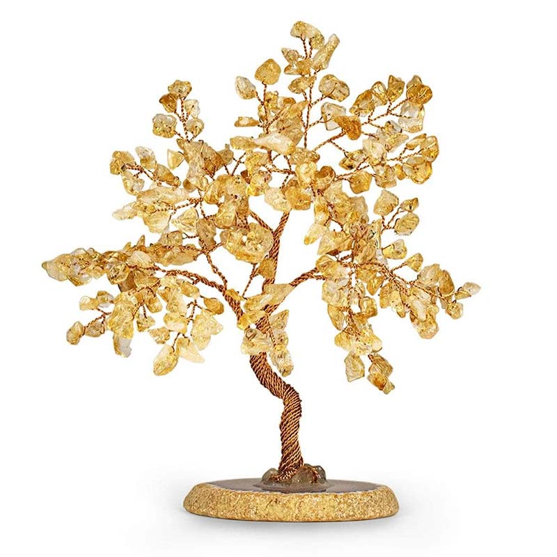Olivenorma Evocatore della Felicità Citrino Albero Feng Shui 