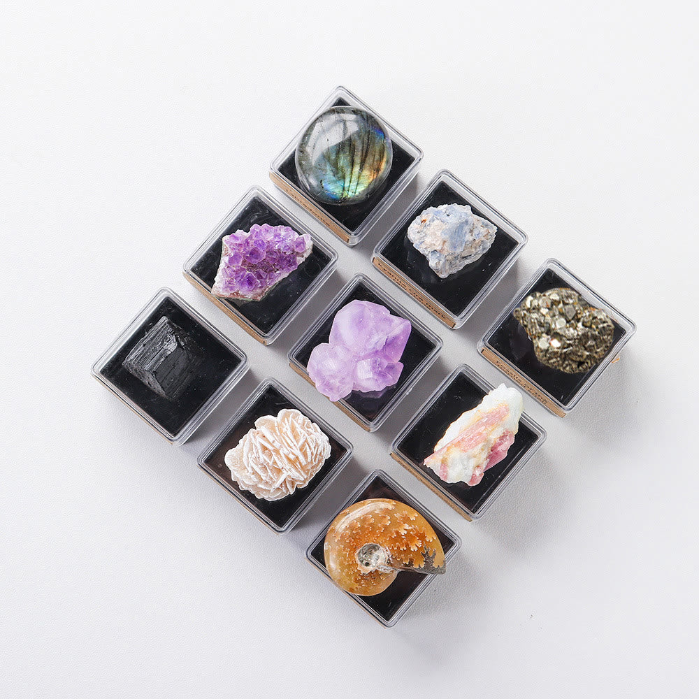 Olivenorma 9 pezzi Set di cristalli naturali Confezione regalo
