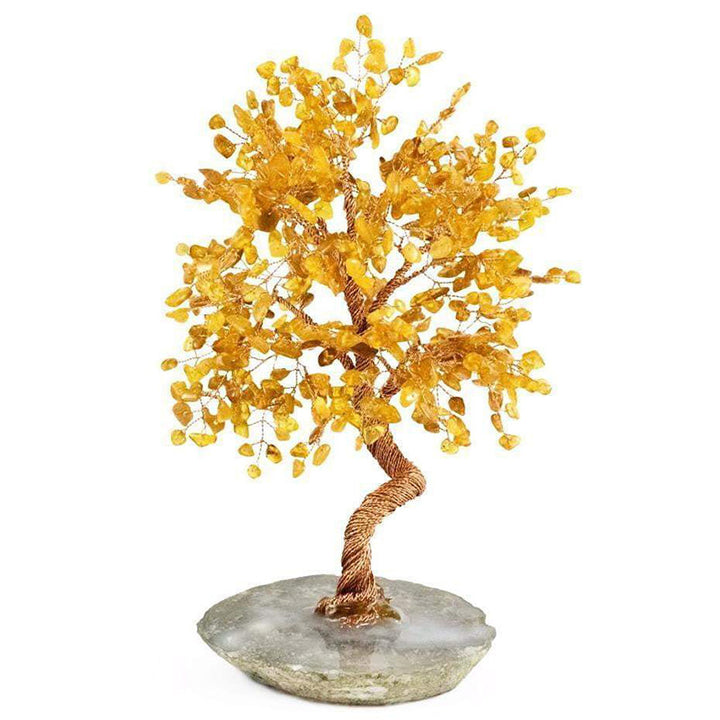 Protezione Olivenorma Ambra Albero Feng Shui