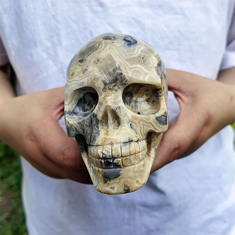 Olivenorma 10cm Decorazione in pietra preziosa di agata pazza naturale teschio di cristallo - image 1