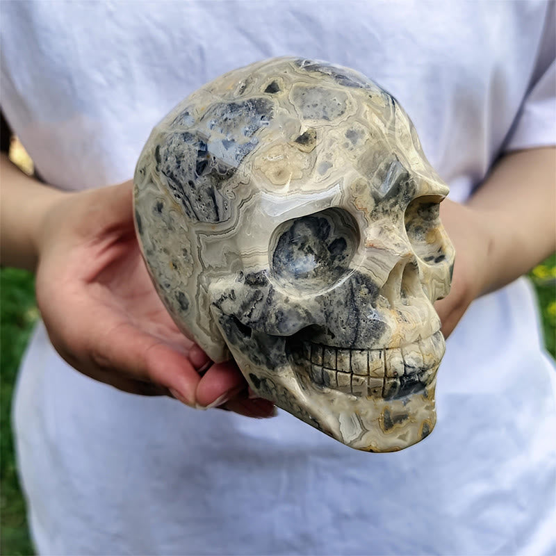 Olivenorma 10cm Decorazione in pietra preziosa di agata pazza naturale teschio di cristallo - Agata pazza - image 0