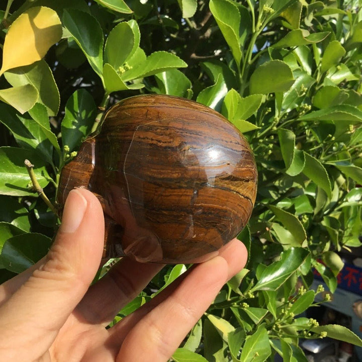 Decorazione con teschio di cristallo in pietra occhio di tigre Olivenorma 