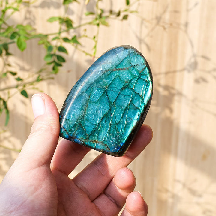 Decorazione in pietra preziosa grezza naturale di labradorite Olivenorma