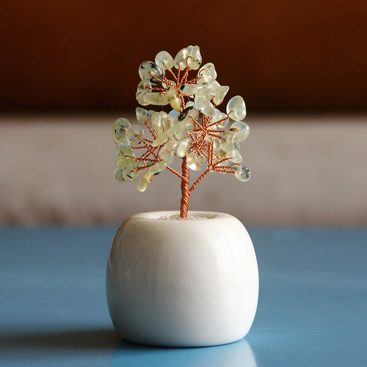Olivenorma Multi Cristallo Gemma Albero Feng Shui