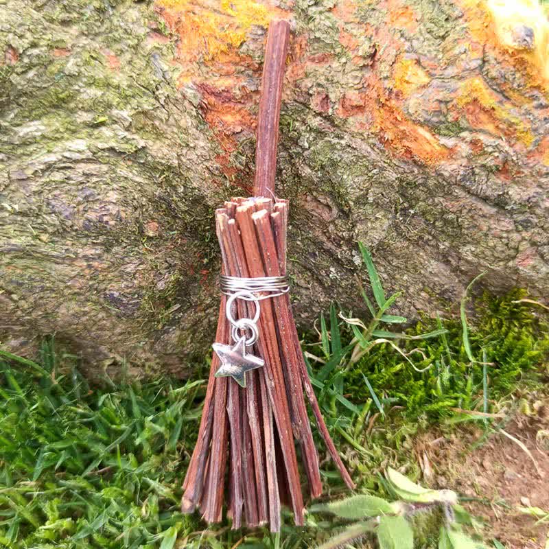 Ornamento fatto a mano Olivenorma Mini tartaruga di cristallo scopa 