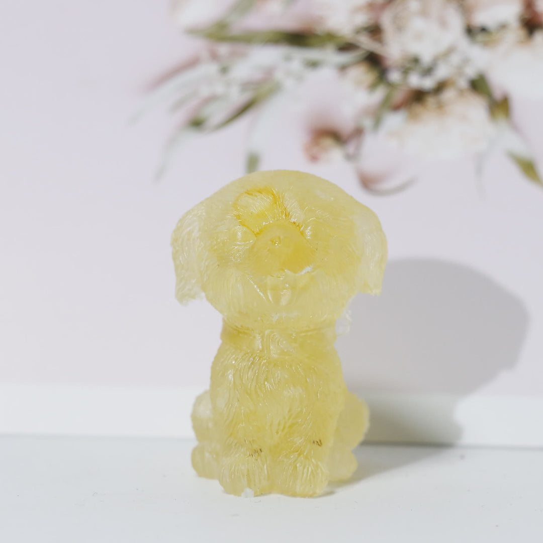 Olivenorma Ghiaia di cristallo naturale Ornamento per cani Decorazione con pietre preziose - Citrino - image 3