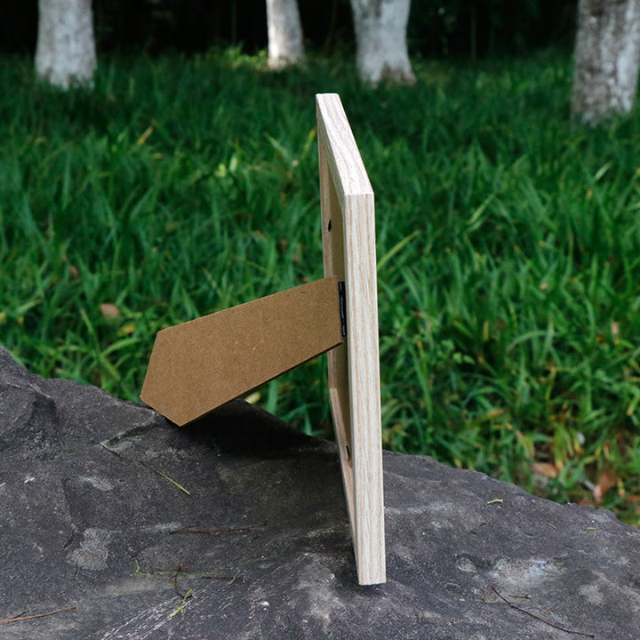 Olivenorma 24 tipi di campioni di cristallo Materiali didattici Decorazione con pietre preziose