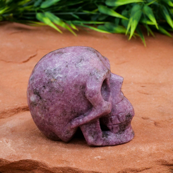 Decorazione teschio di cristallo di lepidolite Olivenorma
