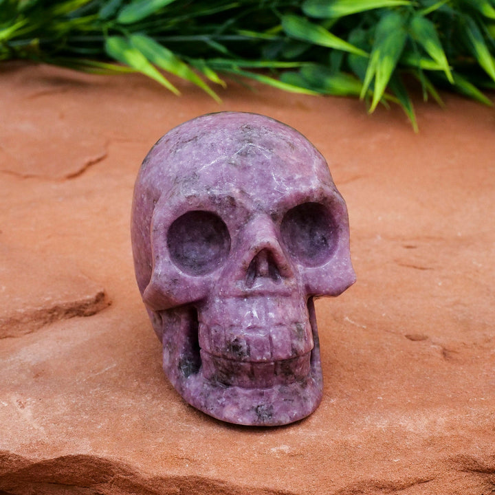 Decorazione teschio di cristallo di lepidolite Olivenorma