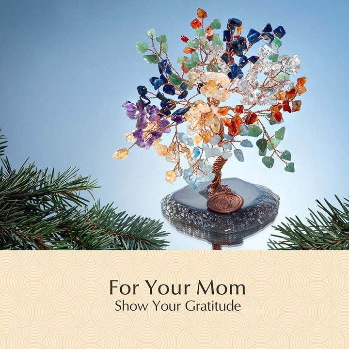 Olivenorma Forza e Crescita Chakra Feng Shui Albero