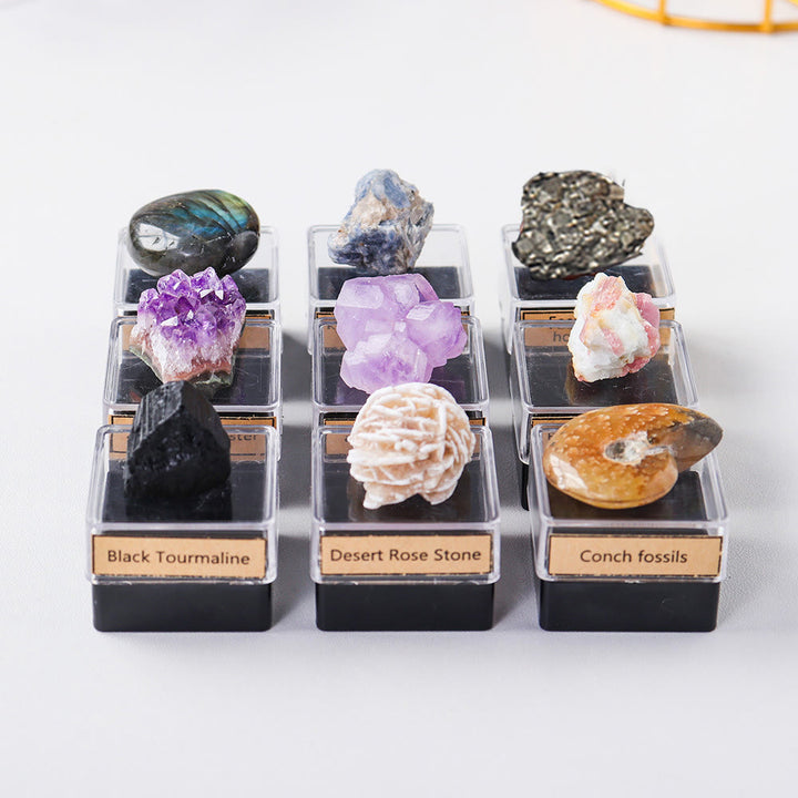 Olivenorma 9 pezzi Set di cristalli naturali Confezione regalo