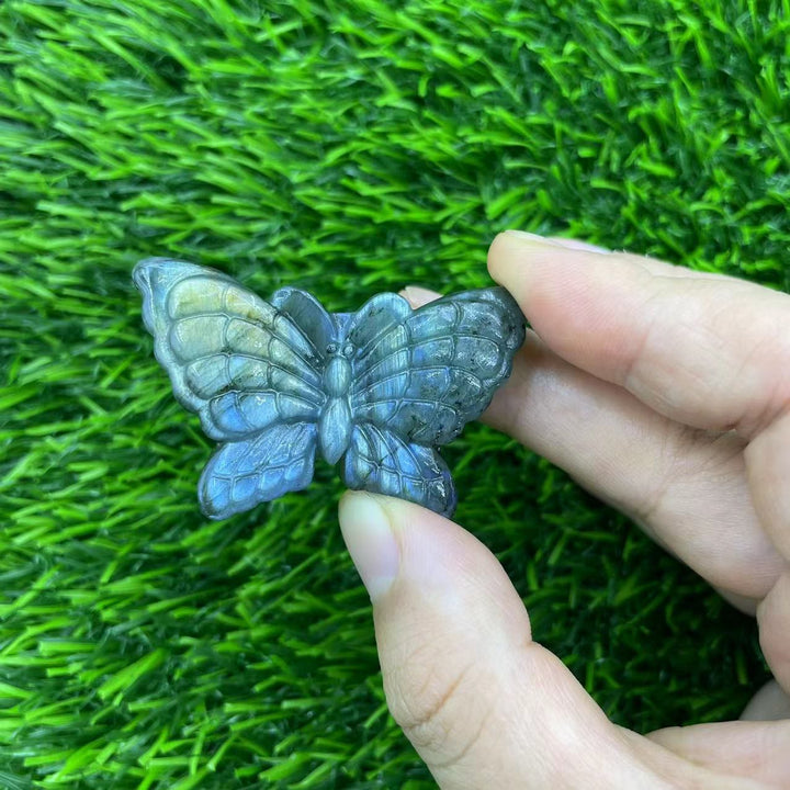 Decorazione per la casa in labradorite naturale Olivenorma con drago volante