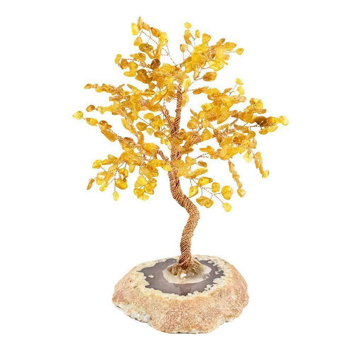 Protezione Olivenorma Ambra Albero Feng Shui