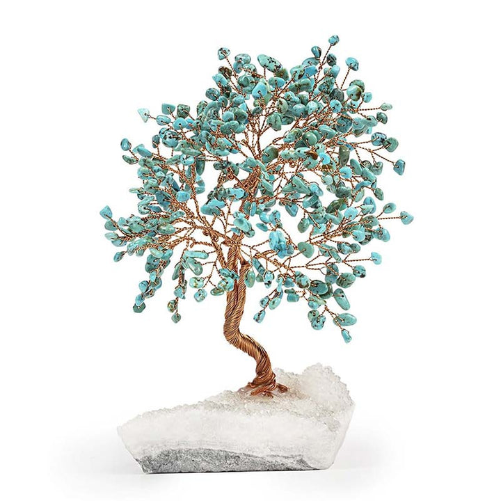 Olivenorma Il Maestro Guaritore - Albero Feng Shui Turchese
