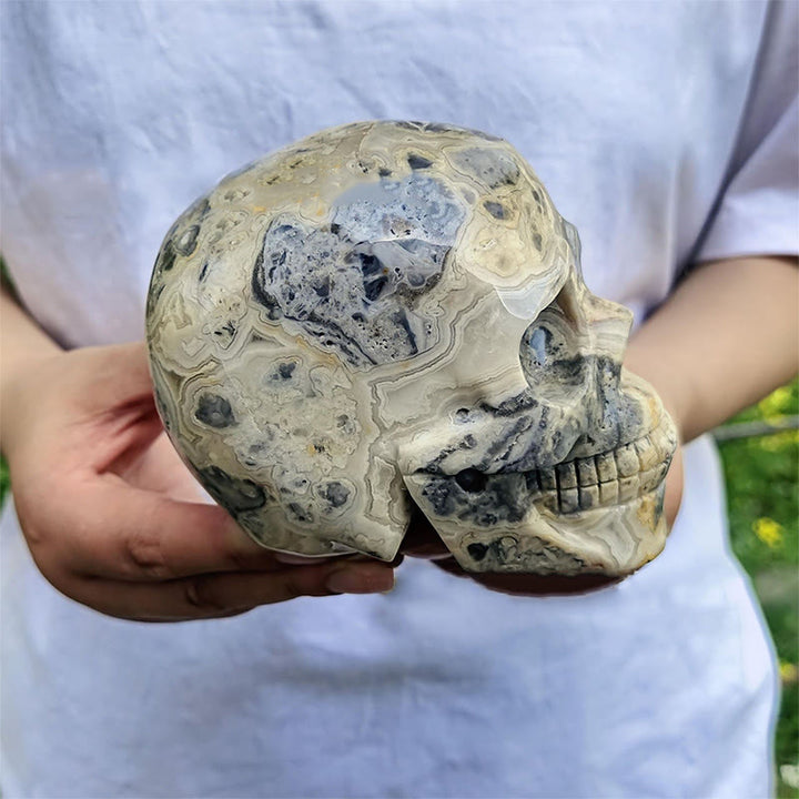 Olivenorma 10cm Decorazione in pietra preziosa di agata pazza naturale teschio di cristallo - image 3